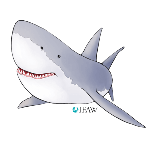 IFAWmojis Australia messages sticker-0