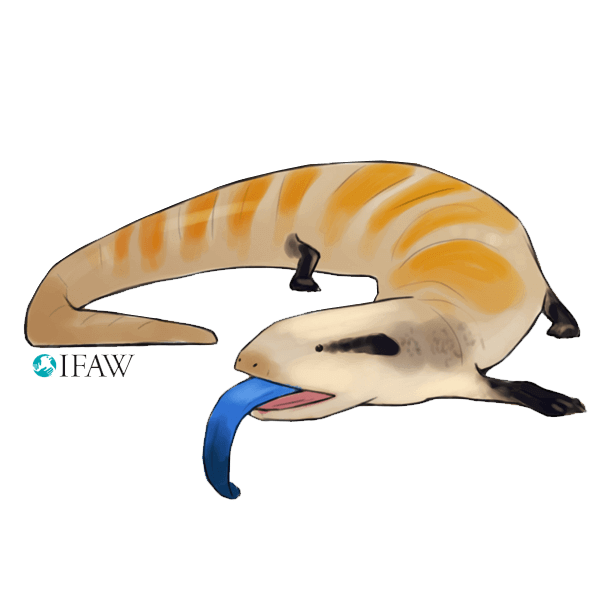 IFAWmojis Australia messages sticker-4