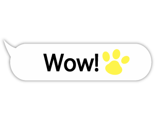 Animal hand 2 Stickers messages sticker-2