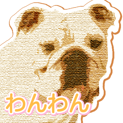 CuteDogsCuteDogs messages sticker-2