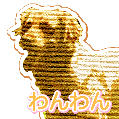 CuteDogsCuteDogs messages sticker-5