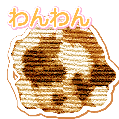 CuteDogsCuteDogs messages sticker-11