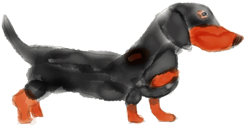 Adorable Dachshund Stickers messages sticker-3