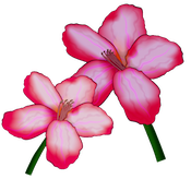 FlowerMoji (Official) messages sticker-3