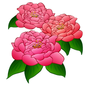 FlowerMoji (Official) messages sticker-4