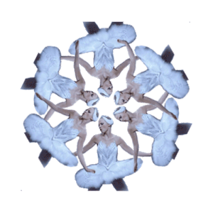 Unusual Snowflakes messages sticker-5