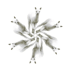 Unusual Snowflakes messages sticker-10