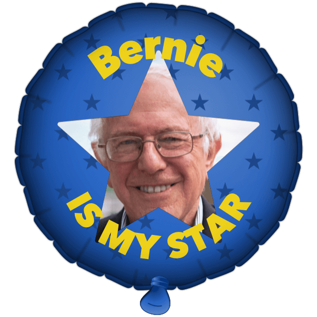 Bernie Balloons messages sticker-6