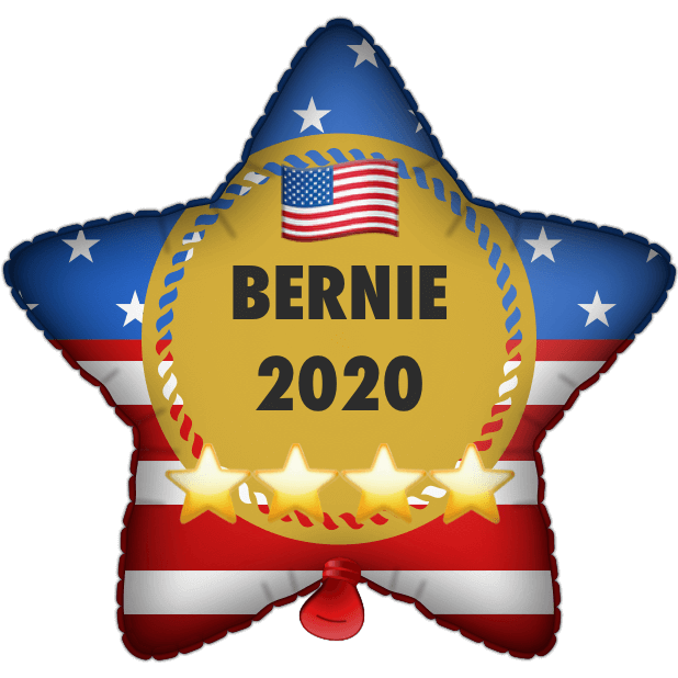 Bernie Balloons messages sticker-1