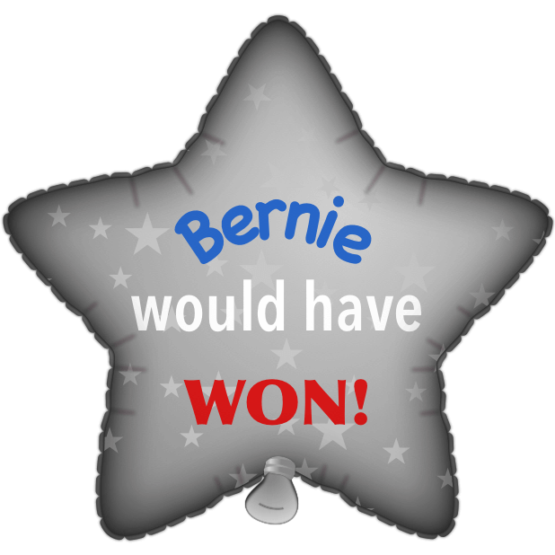 Bernie Balloons messages sticker-2