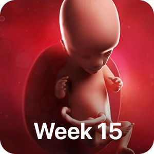 PregBuddy - Pregnancy App messages sticker-11