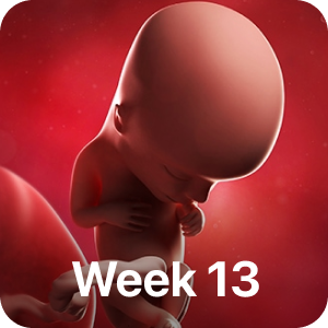 PregBuddy - Pregnancy App messages sticker-9