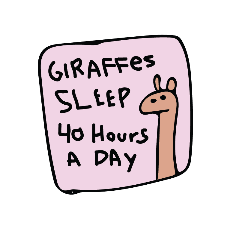 Nap Squad messages sticker-10