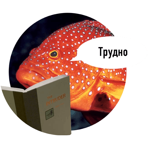Fishes trying to read messages sticker-6