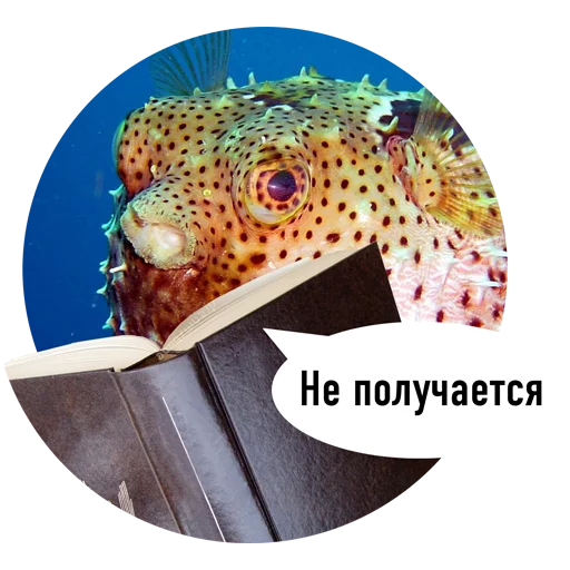 Fishes trying to read messages sticker-8