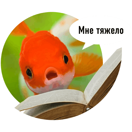 Fishes trying to read messages sticker-7