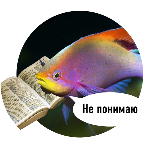 Fishes trying to read messages sticker-0