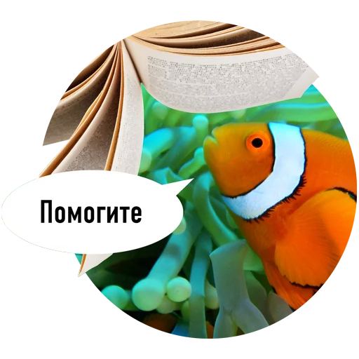 Fishes trying to read messages sticker-2