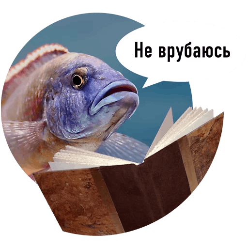 Fishes trying to read messages sticker-11