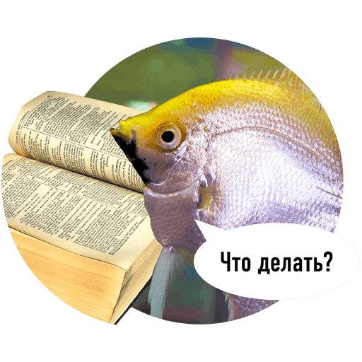 Fishes trying to read messages sticker-9