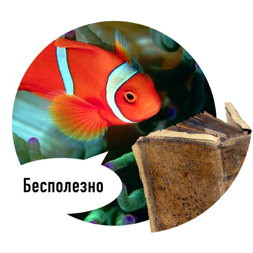 Fishes trying to read messages sticker-10