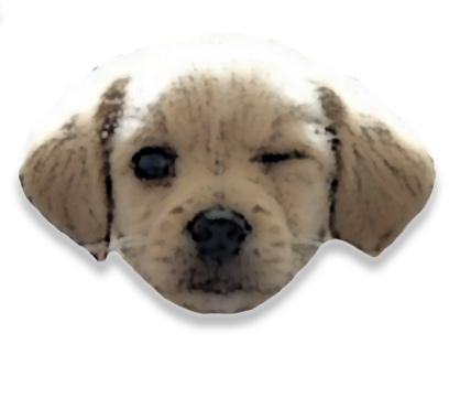 PuppyMe messages sticker-6