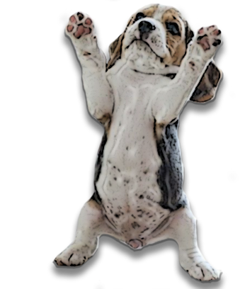 PuppyMe messages sticker-11