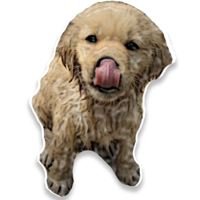 PuppyMe messages sticker-2