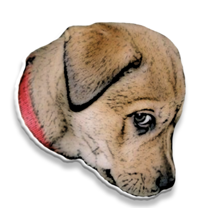 PuppyMe messages sticker-9