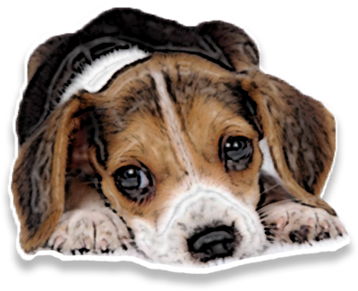 PuppyMe messages sticker-1