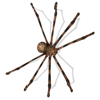 AR Spiders messages sticker-2