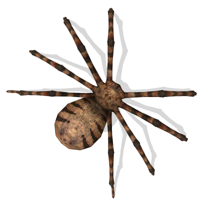 AR Spiders messages sticker-1
