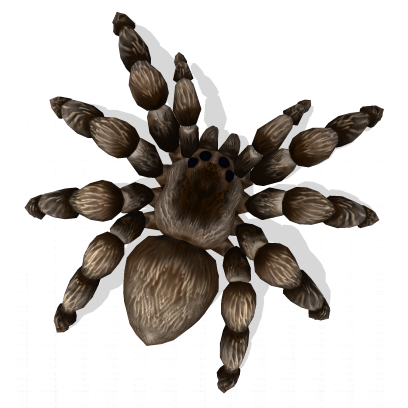 AR Spiders messages sticker-0