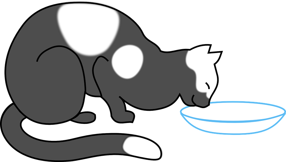 Cat Stickers - Sid Y messages sticker-3