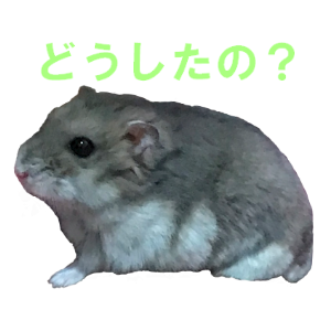 Cute Djungarian messages sticker-5
