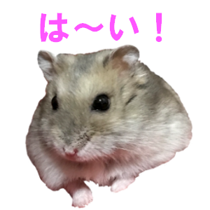 Cute Djungarian messages sticker-3