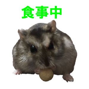 Cute Djungarian messages sticker-0