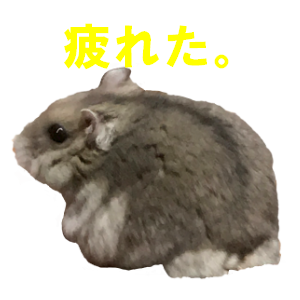 Cute Djungarian messages sticker-6