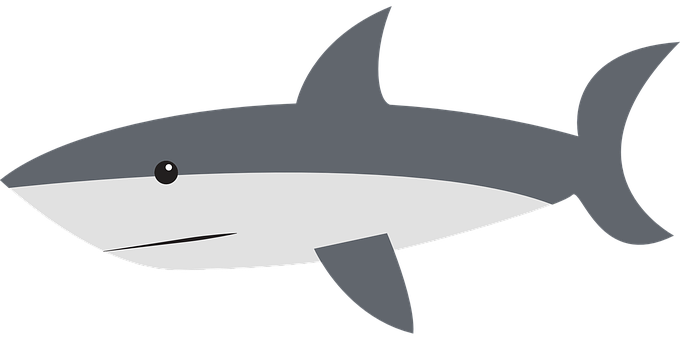 Shark Stickers - 2018 messages sticker-5