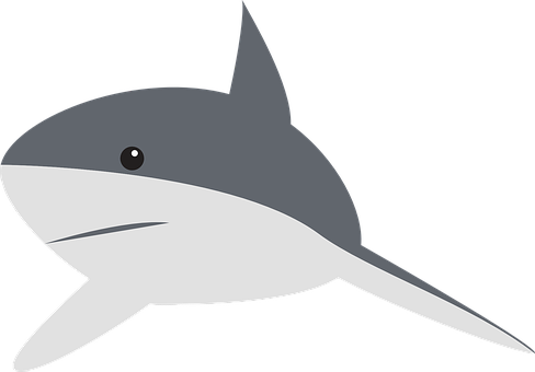 Shark Stickers - 2018 messages sticker-4