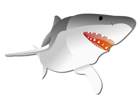 Shark Stickers - 2018 messages sticker-6
