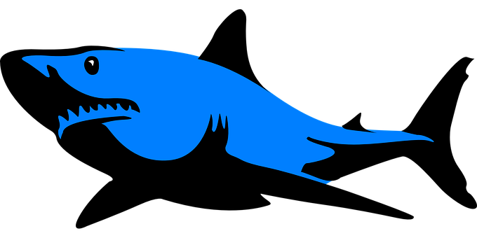 Shark Stickers - 2018 messages sticker-3