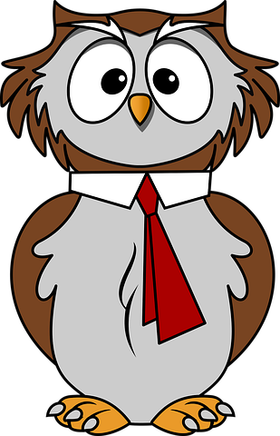 Owl Stickers - 2018 messages sticker-0