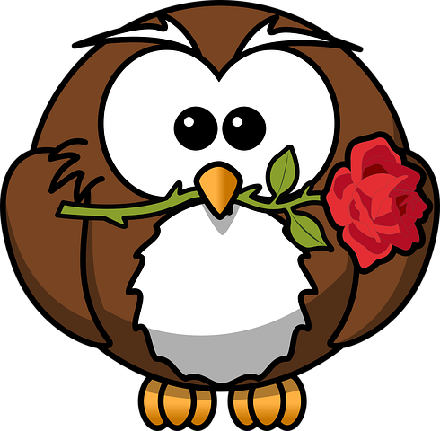 Owl Stickers - 2018 messages sticker-7