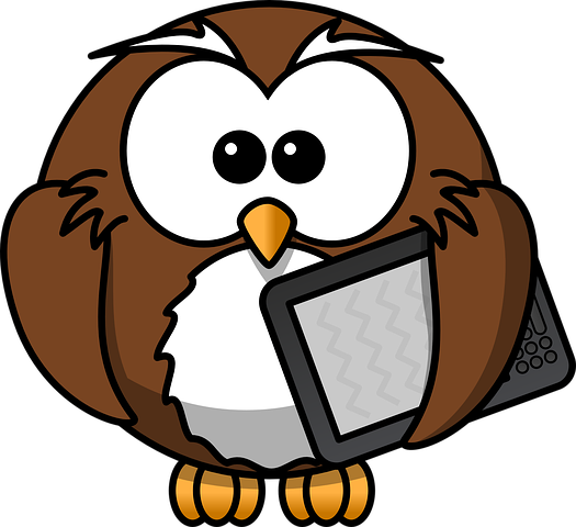 Owl Stickers - 2018 messages sticker-9