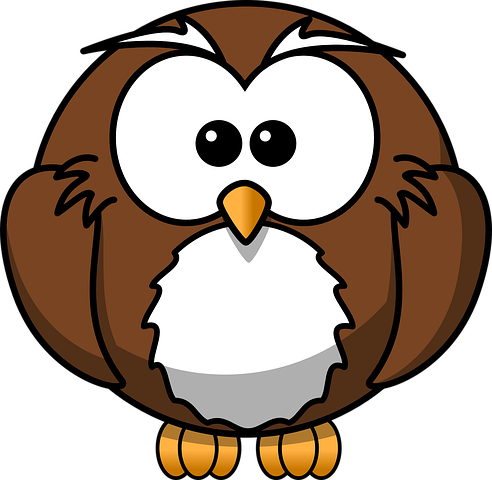 Owl Stickers - 2018 messages sticker-2