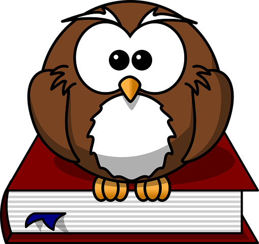 Owl Stickers - 2018 messages sticker-3