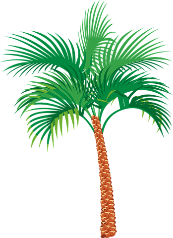 Beach Stickers - 2018 messages sticker-5