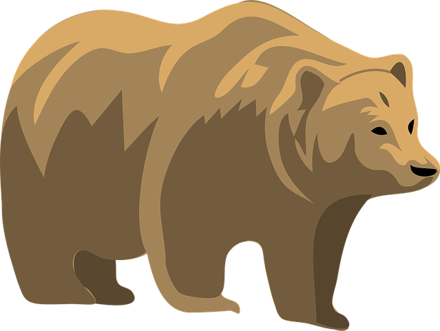 Bear Stickers - 2018 messages sticker-6
