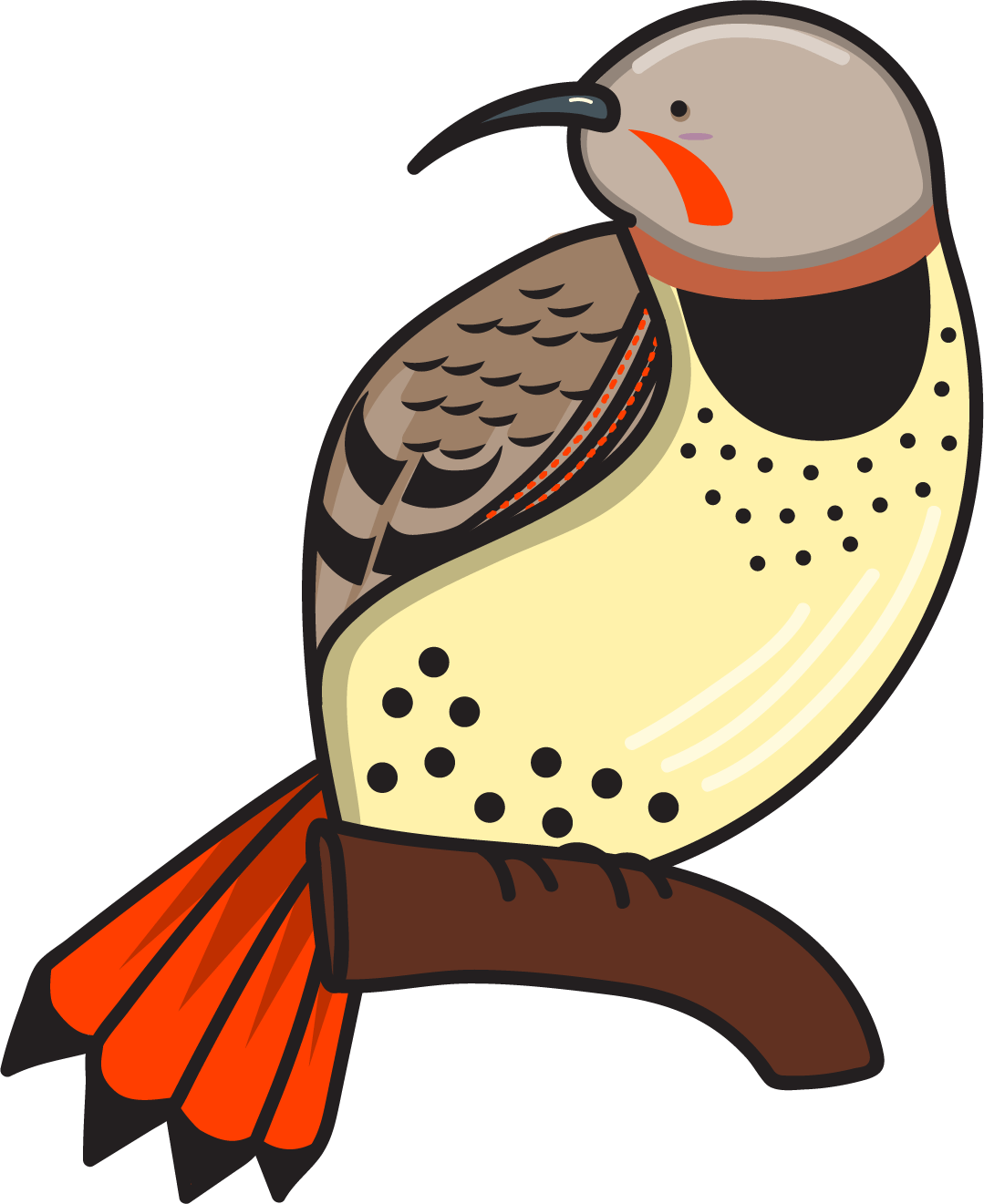 Bird Nerds Stickers messages sticker-2